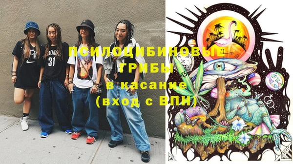 дмт Алзамай