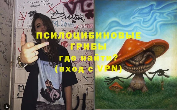 дмт Алзамай