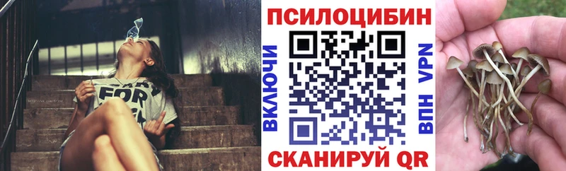 Псилоцибиновые грибы ЛСД  Болотное 