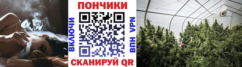 Бошки марихуана Amnesia Болотное